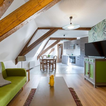 Le Rhenanus Jacques Spiegel - Ideal Pour Un Couple - Appartement Au Calme - Parking Gratuit سليستا المظهر الخارجي الصورة