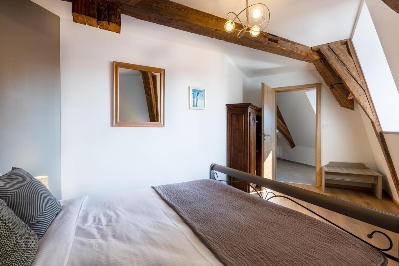 Le Rhenanus Jacques Spiegel - Ideal Pour Un Couple - Appartement Au Calme - Parking Gratuit سليستا المظهر الخارجي الصورة