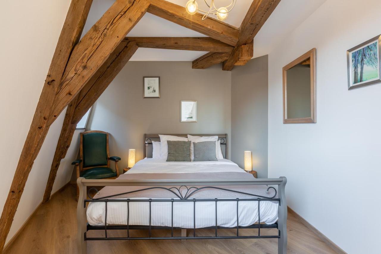 Le Rhenanus Jacques Spiegel - Ideal Pour Un Couple - Appartement Au Calme - Parking Gratuit سليستا المظهر الخارجي الصورة