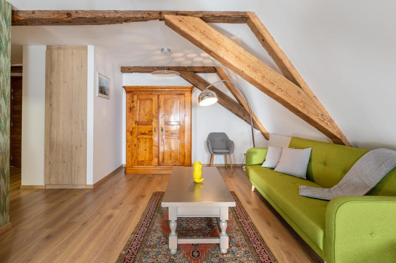 Le Rhenanus Jacques Spiegel - Ideal Pour Un Couple - Appartement Au Calme - Parking Gratuit سليستا المظهر الخارجي الصورة