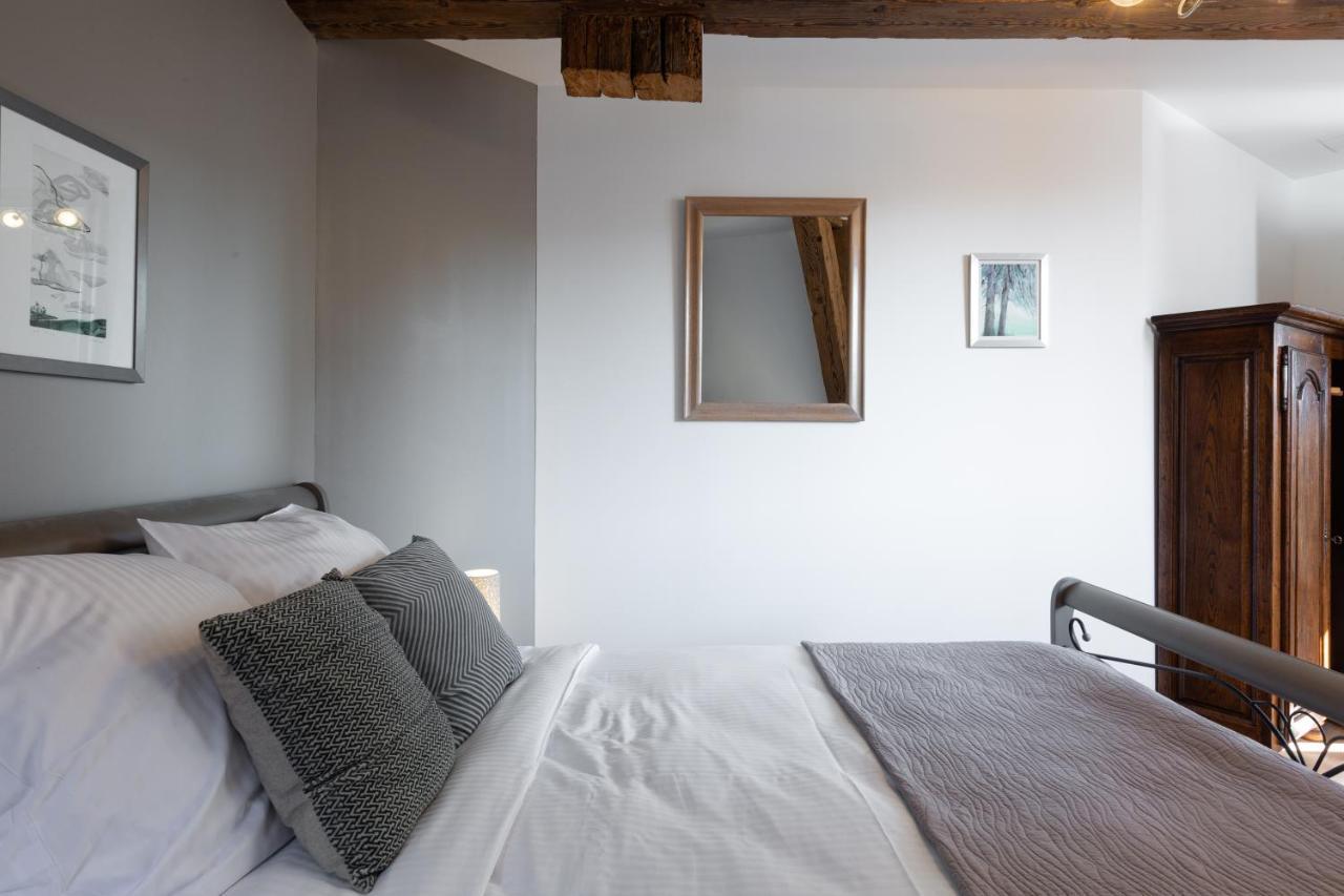 Le Rhenanus Jacques Spiegel - Ideal Pour Un Couple - Appartement Au Calme - Parking Gratuit سليستا المظهر الخارجي الصورة